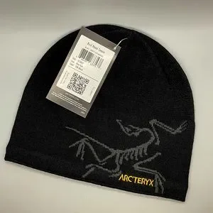 Arc'teryx | Accessories | New Arcteryx Bird Head Toque Beanie Hat